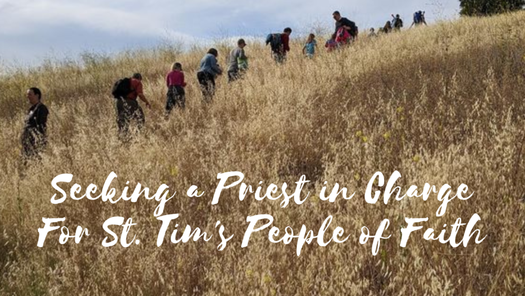 Priest in Charge Search St. Timothy's Episcopal Church